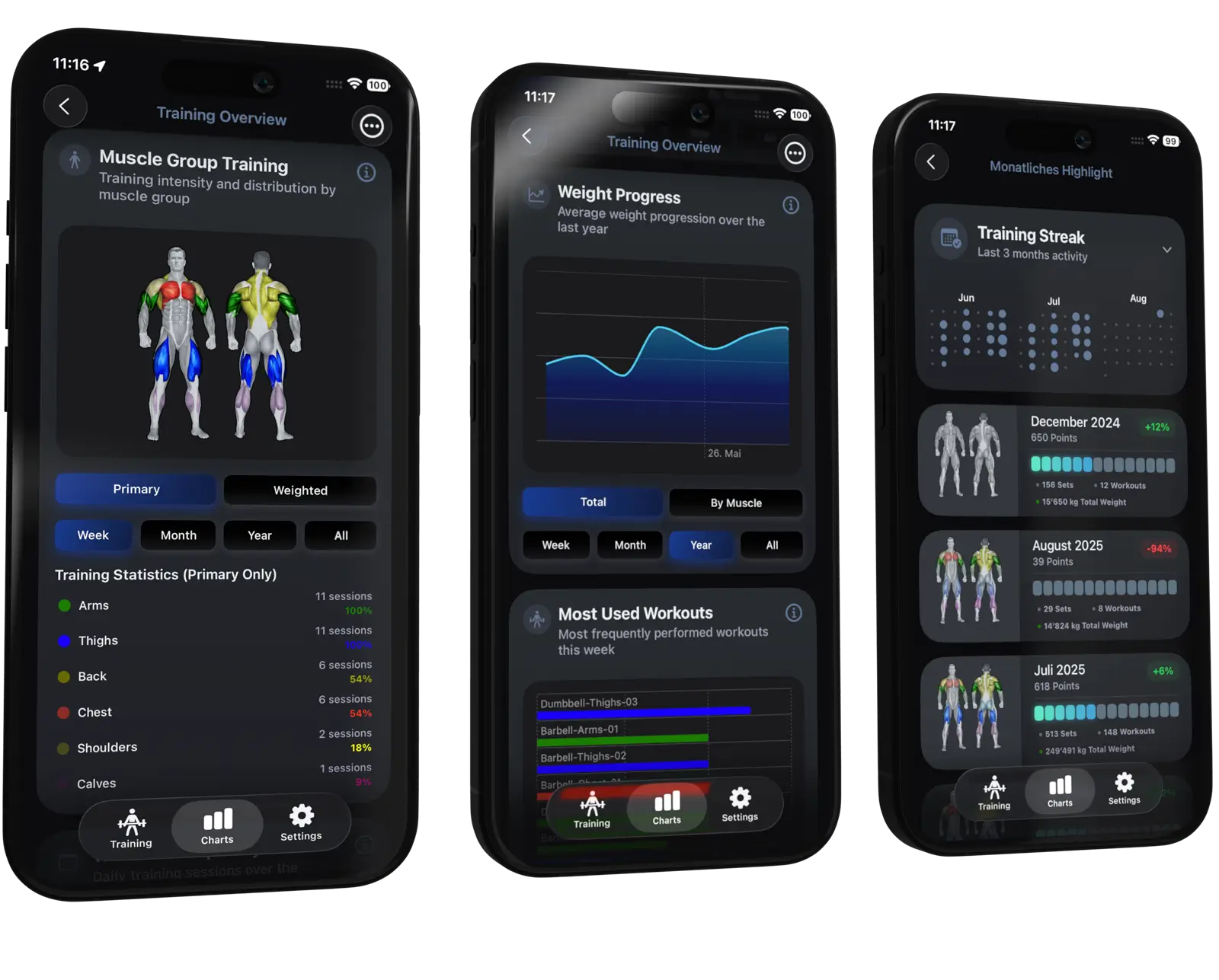 Screenshots of the VigiGym app displaying training overview, muscle group training distribution, weight progression charts, and detailed stats for weekly, monthly, and yearly lifts.