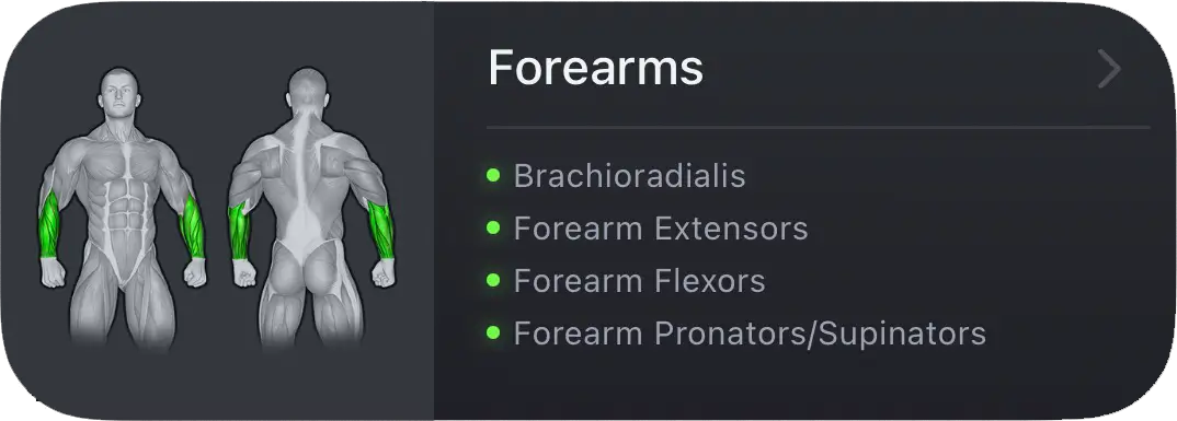Muscle group card showing the forearms highlighted in green, including Brachioradialis, Extensors, Flexors, and Pronators/Supinators