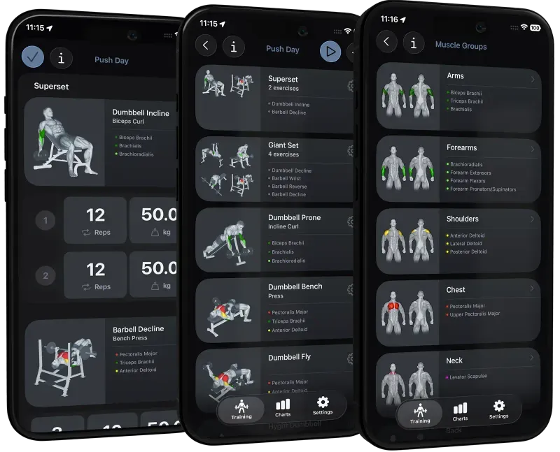 VigiGym Workout-Routinen — mit SwiftUI von einem Solo-Entwickler gebaut