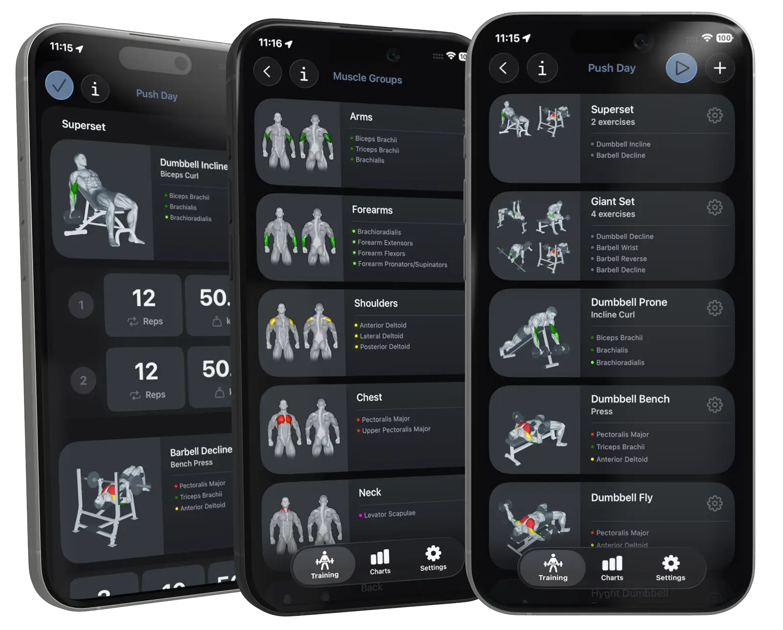 Screenshots of the VigiGym app featuring minimalist workout planning, including supersets, exercises for arms, shoulders, and chest, plus progress tracking with reps and weights.
