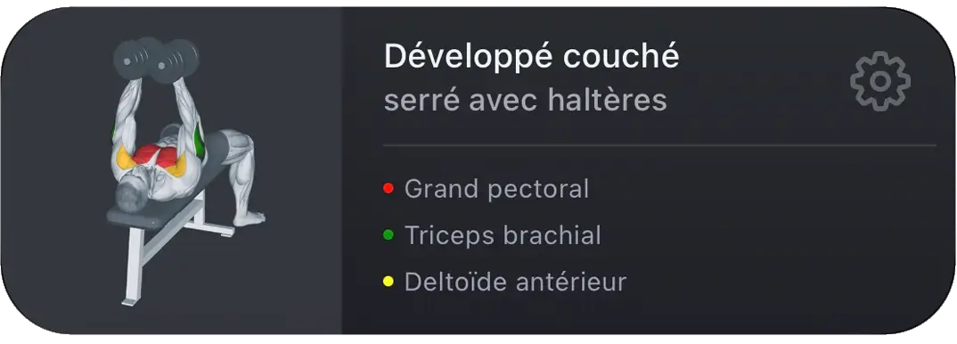 Carte d'exercice VigiGym – Développé couché haltères avec muscles primaires et secondaires codés par couleur
