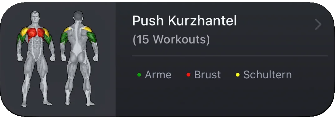 VigiGym Push Day Routine – Visuelle Muskelziele mit farbcodierter Brust, Schultern und Trizeps