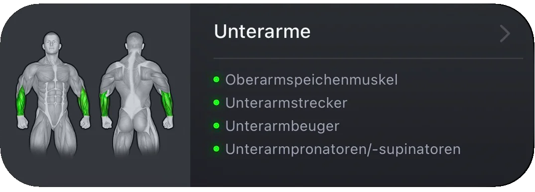 VigiGym Muskelgruppen-Card – Detaillierte Unterarm-Anatomie mit individueller Muskel-Visualisierung