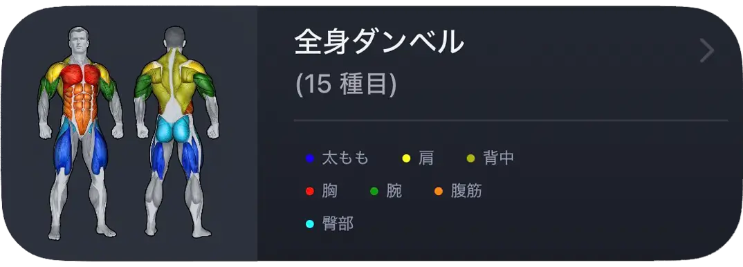 VigiGymプッシュデイルーティン – カラーコード化された胸、肩、上腕三頭筋のビジュアル筋肉ターゲット