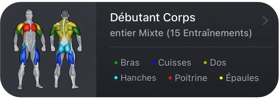 Routine Push Day VigiGym – Cibles musculaires visuelles avec pectoraux, épaules et triceps codés par couleur