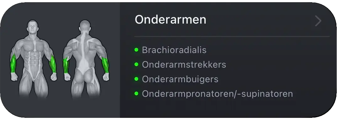 VigiGym Spiergroep Card – Gedetailleerde onderarm-anatomie met individuele spiervisualisatie