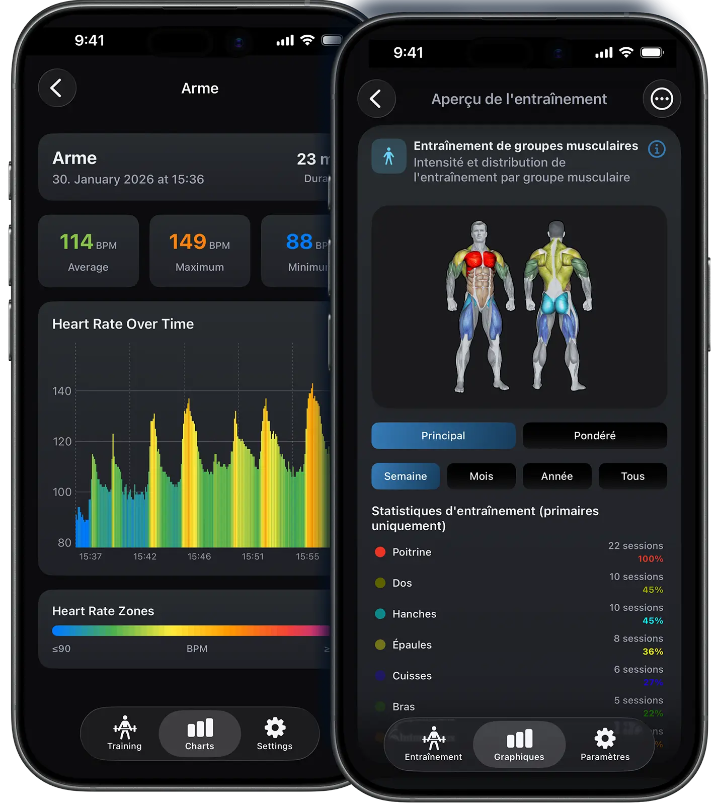 Statistiques d'entraînement VigiGym – Heatmap de distribution musculaire, graphiques de progression des poids et séries d'entraînement