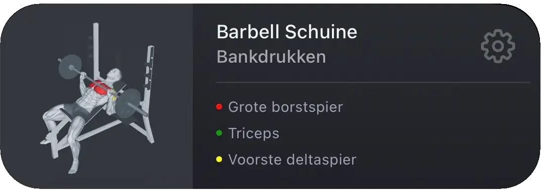 VigiGym Oefening Card – Dumbbell Bench Press met kleurgecodeerde primaire en secundaire spieren