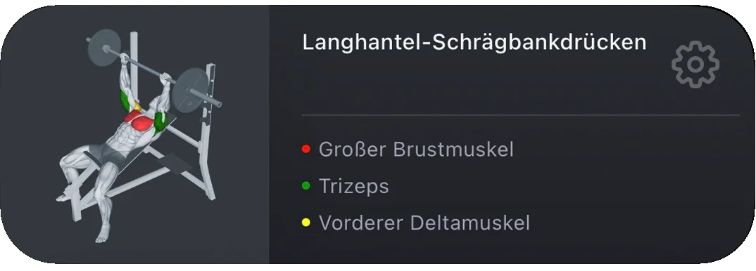 VigiGym Übungs-Card – Kurzhantel Bankdrücken mit farbcodierten primären und sekundären Muskeln