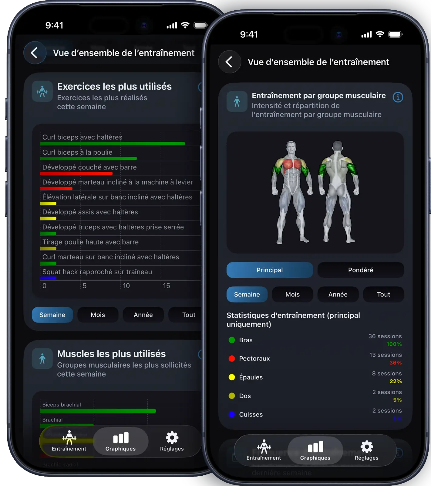 VigiGym statistiques d'entraînement sur iPhone avec heatmap de distribution musculaire, graphiques de progression des poids, calendrier des séries d'entraînement et carnet d'historique