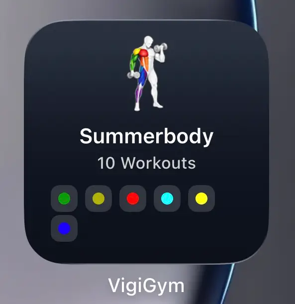 VigiGym kleines Widget auf dem iPhone Home Screen — minimale Trainingsübersicht