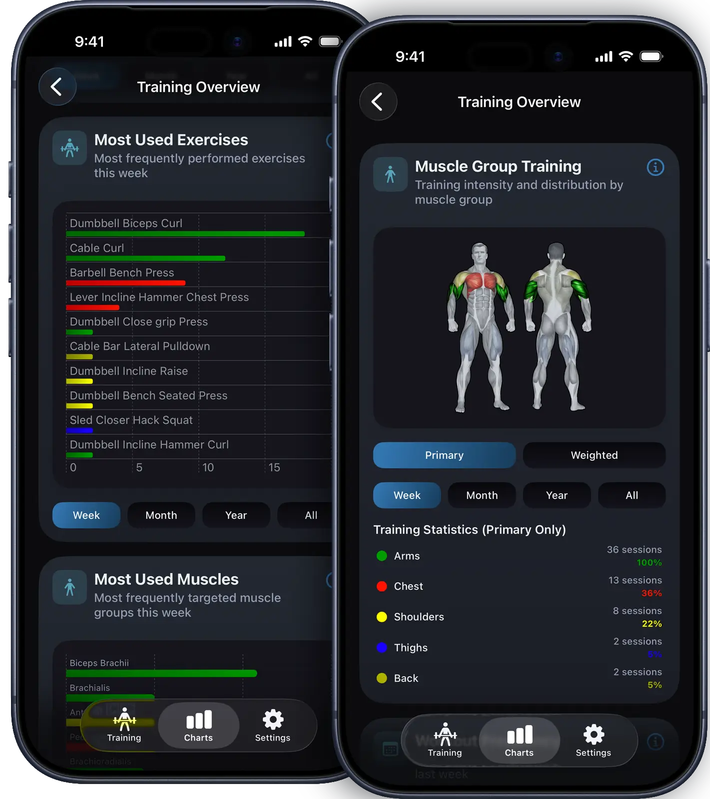 VigiGym workout statistics on iPhone with muscle distribution heatmap, weight progression charts, workout streaks calendar, and training history logbook