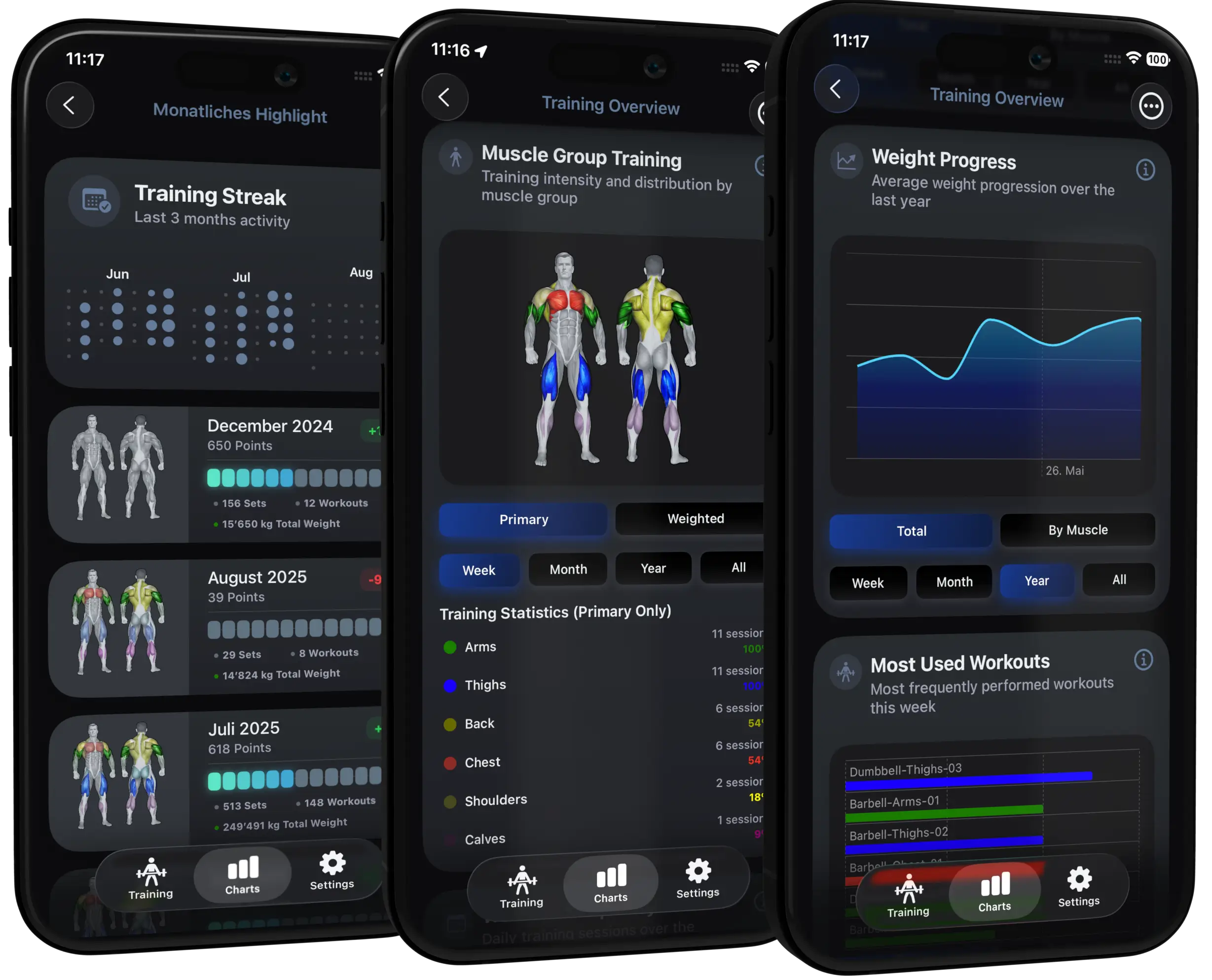 Screenshots of the VigiGym app displaying training overview, muscle group training distribution, weight progression charts, and detailed stats for weekly, monthly, and yearly lifts.